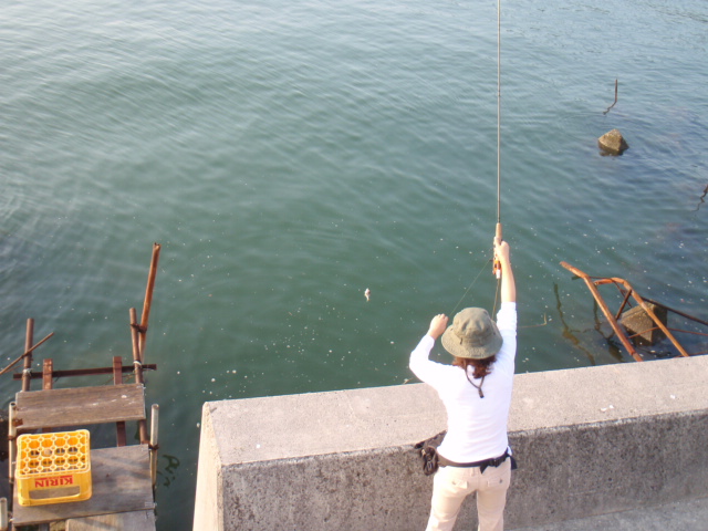 海釣りフライ サーフと堤防 09 10 04 海釣り 投げ釣り 渓流釣り